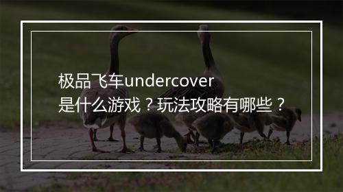 极品飞车undercover是什么游戏?玩法攻略有哪些?