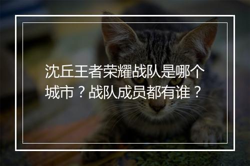 沈丘王者荣耀战队是哪个城市？战队成员都有谁？