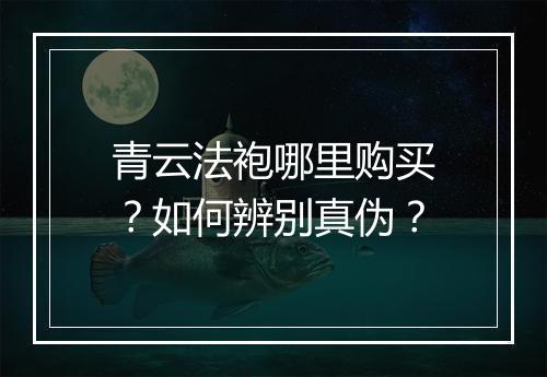 青云法袍哪里购买?如何辨别真伪?