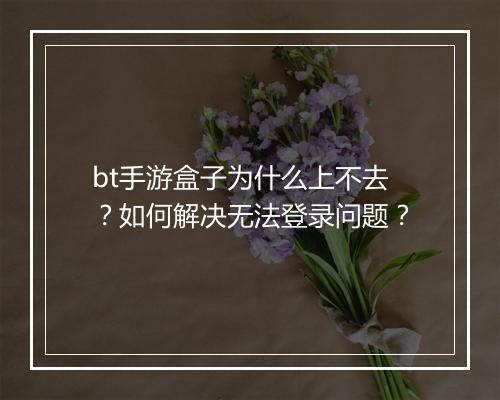 bt手游盒子为什么上不去?如何解决无法登录问题?