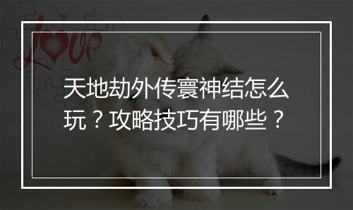 天地劫外传寰神结怎么玩?攻略技巧有哪些?