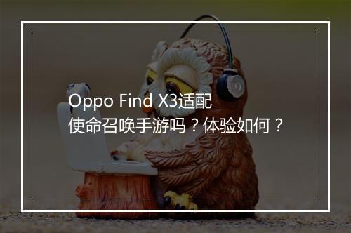 Oppo Find X3适配使命召唤手游吗？体验如何？