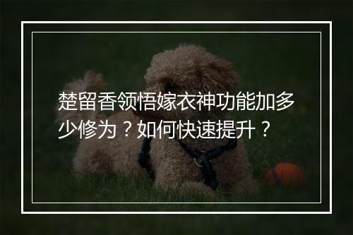 楚留香领悟嫁衣神功能加多少修为？如何快速提升？