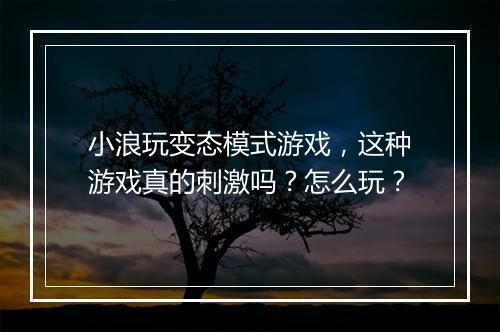 小浪玩变态模式游戏,这种游戏真的刺激吗?怎么玩?