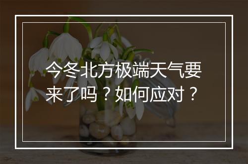 今冬北方极端天气要来了吗?如何应对?