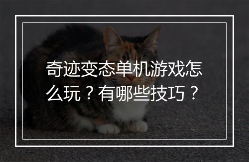 奇迹变态单机游戏怎么玩？有哪些技巧？