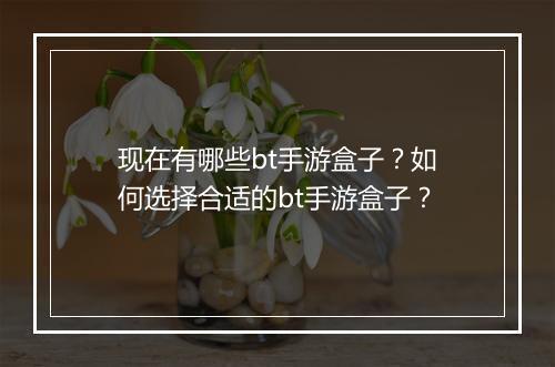 现在有哪些bt手游盒子？如何选择合适的bt手游盒子？