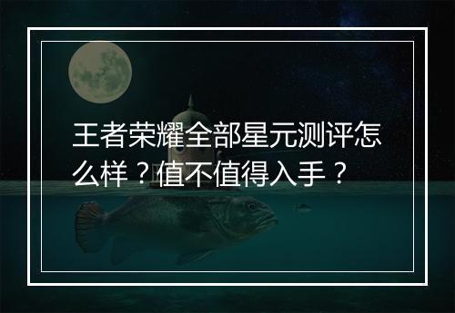 王者荣耀全部星元测评怎么样？值不值得入手？