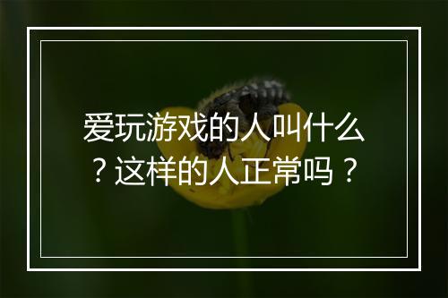 爱玩游戏的人叫什么?这样的人正常吗?
