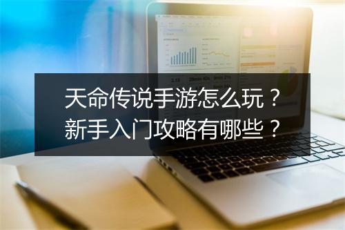 天命传说手游怎么玩？新手入门攻略有哪些？