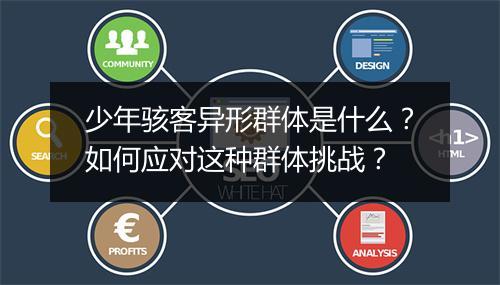 少年骇客异形群体是什么?如何应对这种群体挑战?