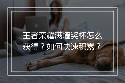 王者荣耀满墙奖杯怎么获得？如何快速积累？