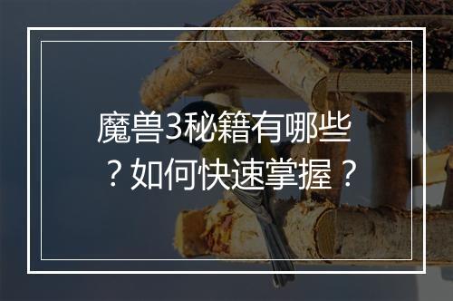 魔兽3秘籍有哪些?如何快速掌握?
