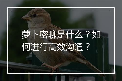 萝卜密聊是什么?如何进行高效沟通?