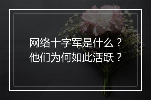 网络十字军是什么?他们为何如此活跃?