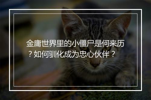 金庸世界里的小僵尸是何来历?如何驯化成为忠心伙伴?