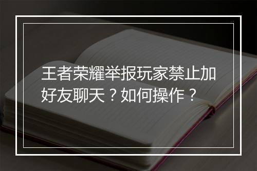 王者荣耀举报玩家禁止加好友聊天？如何操作？