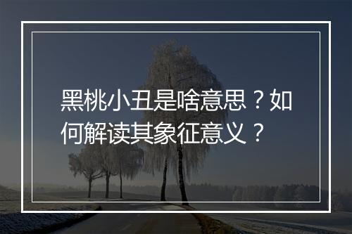 黑桃小丑是啥意思？如何解读其象征意义？