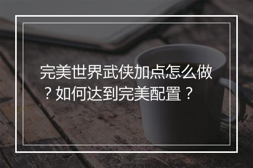 完美世界武侠加点怎么做?如何达到完美配置?