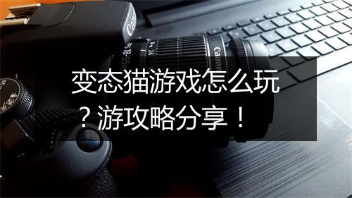变态猫游戏怎么玩?游攻略分享!
