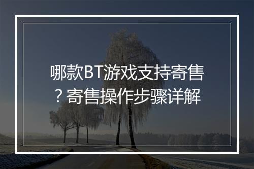 哪款BT游戏支持寄售？寄售操作步骤详解