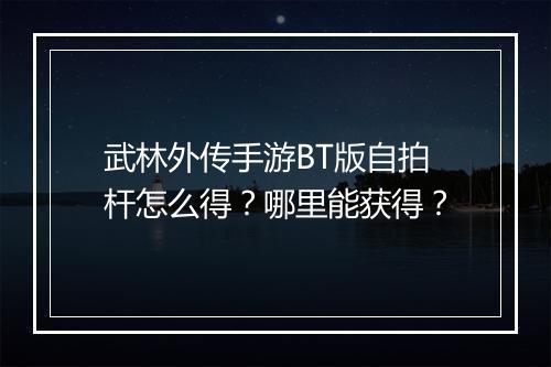 武林外传手游BT版自拍杆怎么得?哪里能获得?