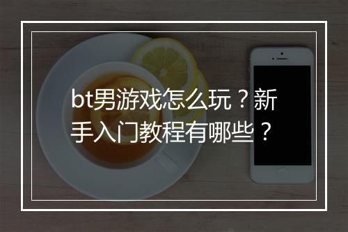 bt男游戏怎么玩?新手入门教程有哪些?