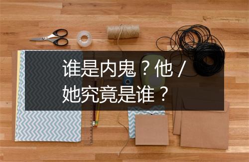 谁是内鬼？他／她究竟是谁？