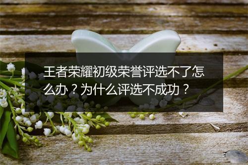 王者荣耀初级荣誉评选不了怎么办？为什么评选不成功？