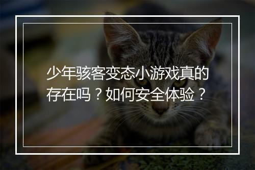 少年骇客变态小游戏真的存在吗?如何安全体验?