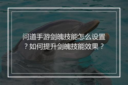 问道手游剑魄技能怎么设置？如何提升剑魄技能效果？