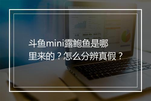 斗鱼mini露鲍鱼是哪里来的?怎么分辨真假?