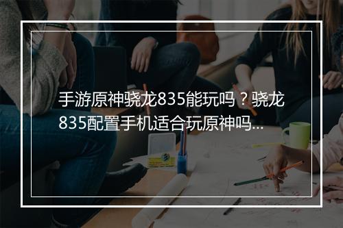 手游原神骁龙835能玩吗？骁龙835配置手机适合玩原神吗？