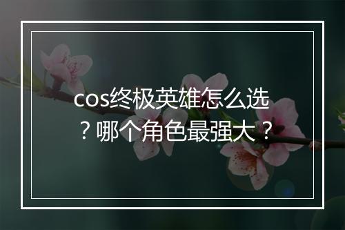 cos终极英雄怎么选?哪个角色最强大?