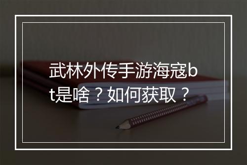 武林外传手游海寇bt是啥?如何获取?