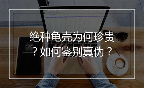 绝种龟壳为何珍贵?如何鉴别真伪?