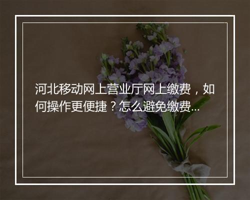 河北移动网上营业厅网上缴费，如何操作更便捷？怎么避免缴费问题？