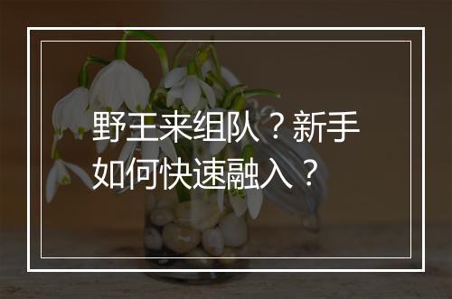 野王来组队?新手如何快速融入?