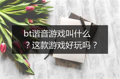 bt谐音游戏叫什么？这款游戏好玩吗？