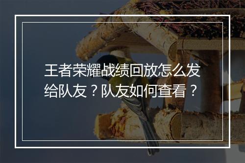 王者荣耀战绩回放怎么发给队友？队友如何查看？