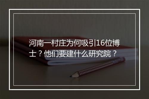 河南一村庄为何吸引16位博士？他们要建什么研究院？
