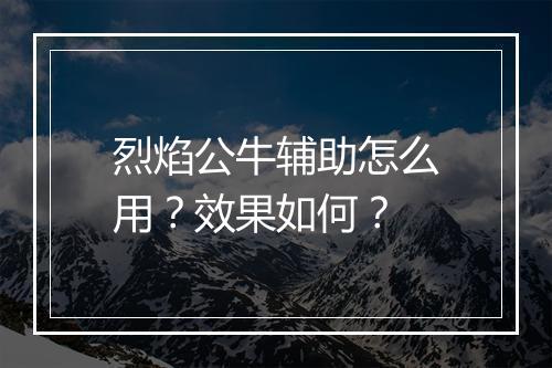 烈焰公牛辅助怎么用？效果如何？