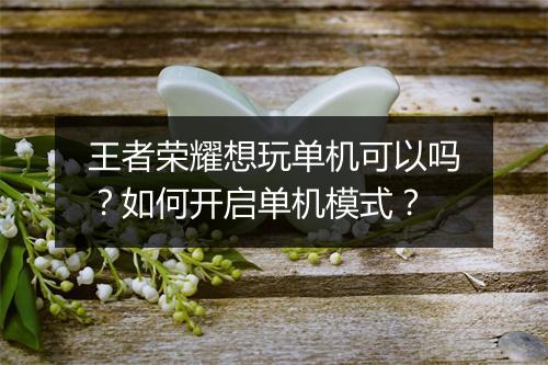王者荣耀想玩单机可以吗？如何开启单机模式？