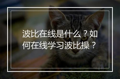 波比在线是什么？如何在线学习波比操？