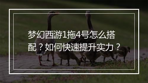 梦幻西游1拖4号怎么搭配？如何快速提升实力？