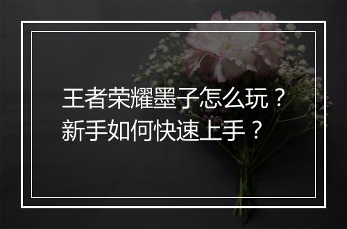 王者荣耀墨子怎么玩？新手如何快速上手？