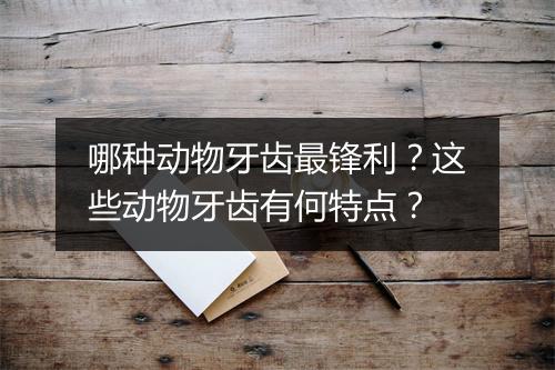 哪种动物牙齿最锋利?这些动物牙齿有何特点?