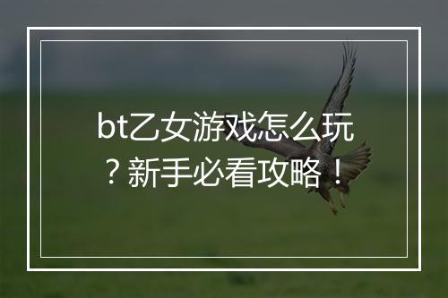 bt乙女游戏怎么玩？新手必看攻略！