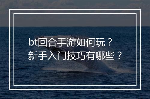 bt回合手游如何玩？新手入门技巧有哪些？