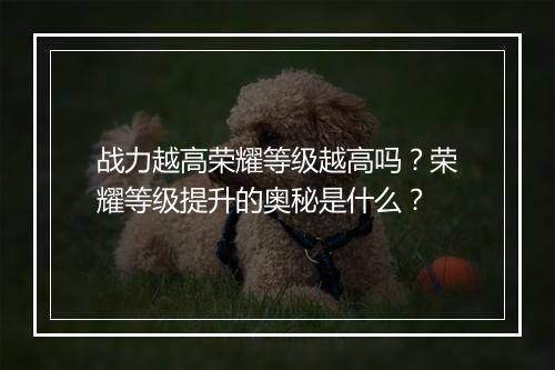 战力越高荣耀等级越高吗？荣耀等级提升的奥秘是什么？